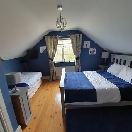 Bed & Breakfast Highfield House Collinstown Collinstown (Westmeath)