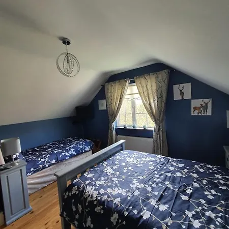 Highfield House Collinstown Bed & Breakfast