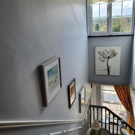 Highfield House Collinstown Bed and Breakfast