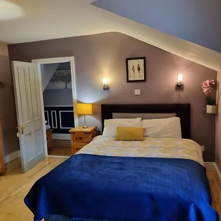 فندق مبيت وإفطار Highfield House Collinstown