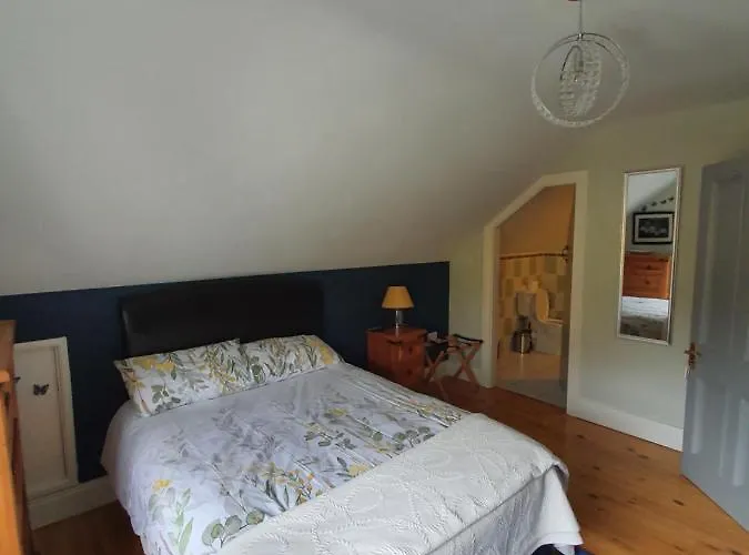 Panzió Highfield House Collinstown